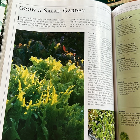 Gardening Essentials Book Hardcover Coffee Table Book Garden Club 2006 Oversized - Picture 15 of 16